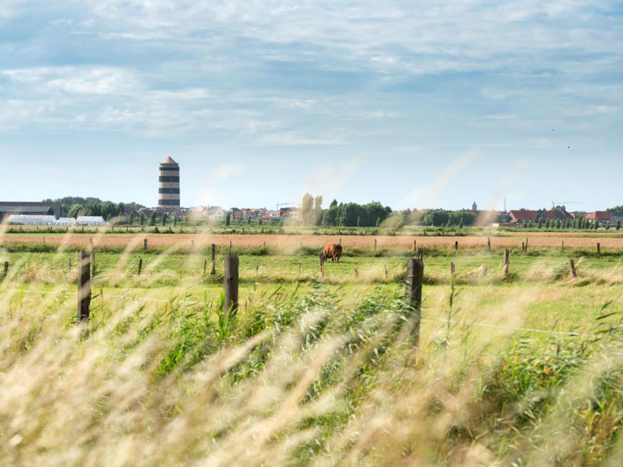 Studio Residentie Astrid-3 By Interhome Bredene Eksteriør bilde